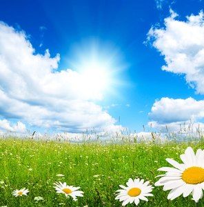 Meet your Posher, Barry